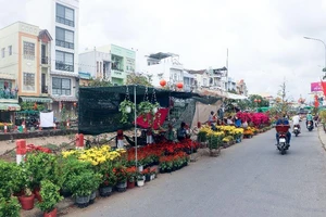 Cần Thơ: Chợ hoa ảm đạm ngày 29 Tết