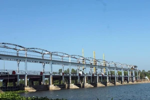 Miền Tây cần chủ động phòng chống hạn, mặn từ bây giờ