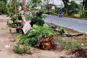 Hiện trường vụ tai nạn thương tâm. Ảnh: KH