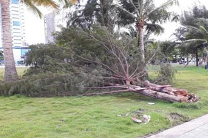 Kiên Giang: Chủ động ứng phó thiên tai giai đoạn chuyển mùa
