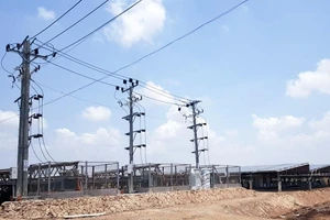 1 Phó Giám đốc Điện lực bị cách chức