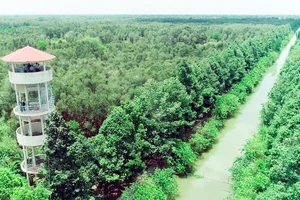 Hậu Giang xây dựng 4 tuyến du lịch nội khu Lung Ngọc Hoàng