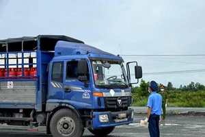 Cà Mau: Xe vận tải 'đứng bánh' vì vướng khâu xuống hàng