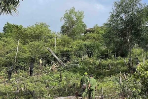 Phú Quốc: Lợi dụng giãn cách, nhiều người bao chiếm đất rừng trái phép