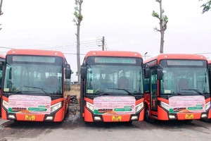 Cần Thơ cho 5 tuyến xe buýt Phương Trang hoạt động lại 