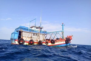 Bắt tàu cá chở 50.000 lít dầu chưa rõ nguồn gốc trên vùng biển Tây Nam