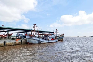 Bổ sung kinh phí để Sóc Trăng xây cầu cảng dài 16km vươn ra biển