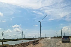 Chủ tịch Sóc Trăng chỉ đạo tháo gỡ vướng mắc tại các dự án điện gió ở Vĩnh Châu
