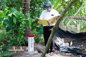 Đã bàn giao cọc mốc giải phóng mặt bằng gần 90 km cao tốc Cần Thơ - Cà Mau