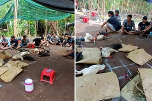 Tội phạm về trật tự xã hội ở Hậu Giang tăng so với cùng kỳ năm 2021