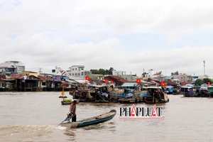 Cần Thơ khai mạc Ngày hội Du lịch 'Văn hóa chợ nổi Cái Răng'