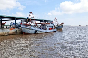 Sóc Trăng thống nhất quy hoạch khu cảng biển Trần Đề đón tàu tải trọng lớn