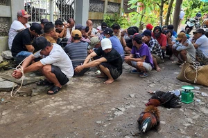 Công an ập vào sới gà, nhiều người nhảy xuống ao 