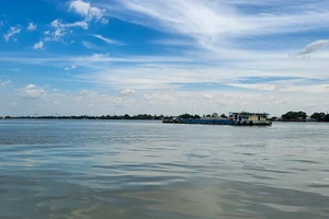 Cần Thơ đề xuất 2 phương án xây cầu 7.000 tỉ bắc qua sông Hậu 