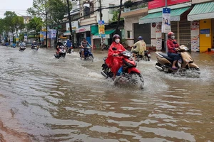 Dự báo triều cường xấp xỉ mốc lịch sử 2019, Cần Thơ họp khẩn để ứng phó