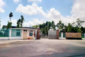 Kiên Giang: Yêu cầu huyện U Minh Thượng kỷ luật cán bộ bằng hình thức tương xứng