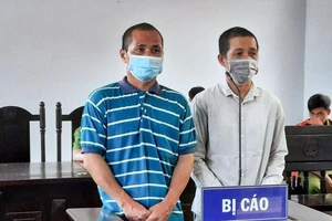  2 người đàn ông lãnh án tù vì phá rừng thuê 
