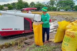 Chuyển đổi số sẽ giúp giải quyết được bài toán được mùa mất giá ở ĐBSCL