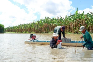 Bộ GTVT chốt ngày khởi công cao tốc Cần Thơ - Cà Mau