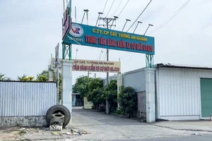 Cần Thơ đã bố trí người thay giám đốc của 3 Trung tâm đăng kiểm vừa bị bắt