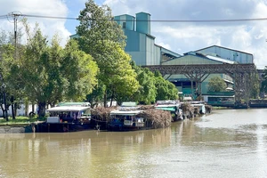 Công ty Mía đường Cần Thơ bị phạt 85 triệu đồng