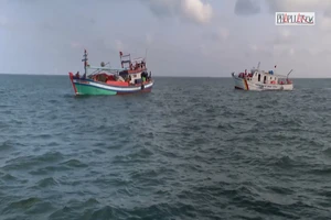 Video: Kinh tế biển - Đòn bẩy giúp Bạc Liêu 'vươn khơi'