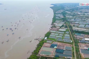 Video: Bến Tre bứt phá phát triển về hướng Đông