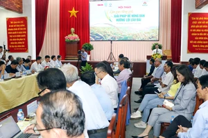 Giá lúa tăng nhưng tiền lãi của nông dân giảm, vì sao? 