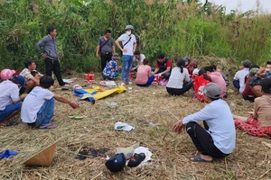 Hàng chục con bạc sát phạt giữa bãi đất trống, có người cảnh giới