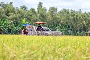 Phó Thủ tướng Trần Lưu Quang: Tuân thủ nguyên tắc và linh hoạt ứng xử
