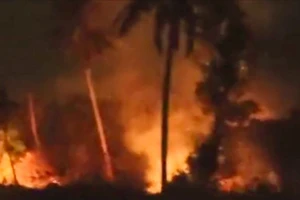 Cháy lớn tại 1 khu đất dự án ở Phú Quốc