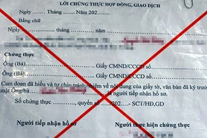 Sóc Trăng: Khởi tố 31 người trong đường dây hợp thức hóa xe bằng giấy giả