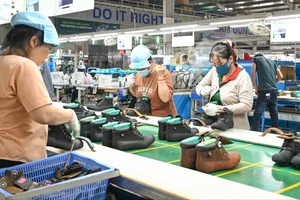 Lãnh đạo Kiên Giang chỉ đạo các sở ngành, địa phương lắng nghe, gỡ khó cho doanh nghiệp 