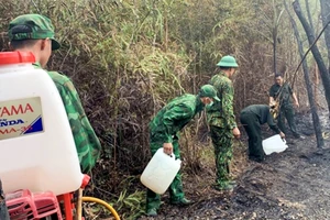Hơn 6.770 ha rừng ở Phú Quốc có nguy cơ cao xảy ra cháy