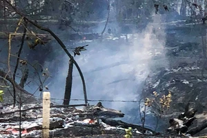 Từ đầu mùa khô đến nay, Phú Quốc xảy ra 12 vụ cháy rừng