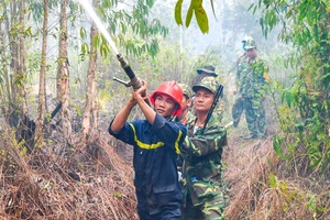 Kiên Giang: Cháy rừng tràm ở huyện Giang Thành 