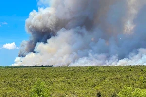 12 khu vực ở An Giang có nguy cơ cháy rừng cấp V