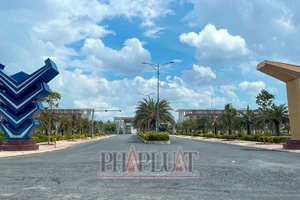 Công an tạm đình chỉ giải quyết vụ chia nhỏ gói thầu cây xanh ở TP Vị Thanh