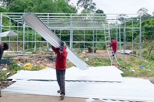 1 người từ Đồng Nai ra TP Phú Quốc chiếm đất rừng đặc dụng xây nhà để bán 