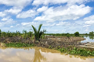 Tỉnh Kiên Giang xử phạt 3 trường hợp lấn chiếm đất ở đầm Đông Hồ