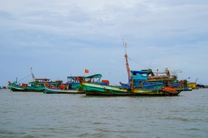 Tỉnh Kiên Giang đã nhập căn cước công dân lên VNFishbase đạt hơn 97%