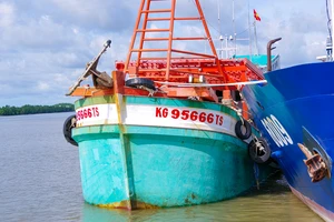 Vùng Cảnh sát biển 4 bắt tàu vận chuyển hơn 70.000 lít dầu lậu