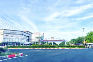 Tỉnh Cà Mau: 9 tháng đầu năm thi hành kỷ luật 223 đảng viên