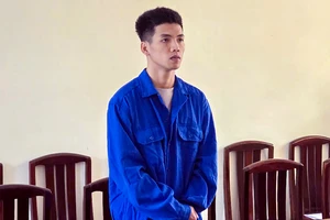 Tài xế taxi lãnh án vì đưa người vượt biên trái phép