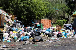 TP Cần Thơ tổng rà soát, xử lý vi phạm về môi trường