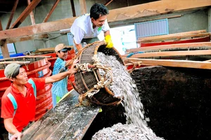 Dời thời gian tổ chức Festival nước mắm Phú Quốc đến tháng 9-2025