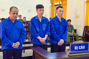 Lãnh 22 năm tù vì mua bán, tổ chức sử dụng trái phép chất ma túy