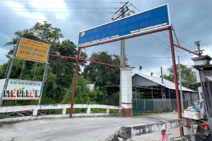 Kết quả kiểm tra cơ sở giết mổ gia súc gia công cho C.P ở Hậu Giang 