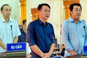 Cựu Phó Chủ tịch xã ở TP Phú Quốc và 2 đồng phạm lãnh án vì cấp đất sai quy định