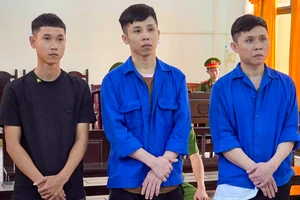 3 bị cáo đốt xe cuốc ở Phú Quốc lãnh án